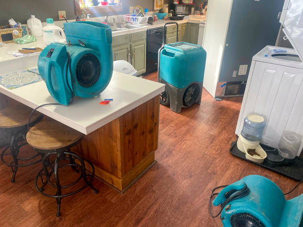 Best Basement water damage restoration  in Mechanicville, NY
