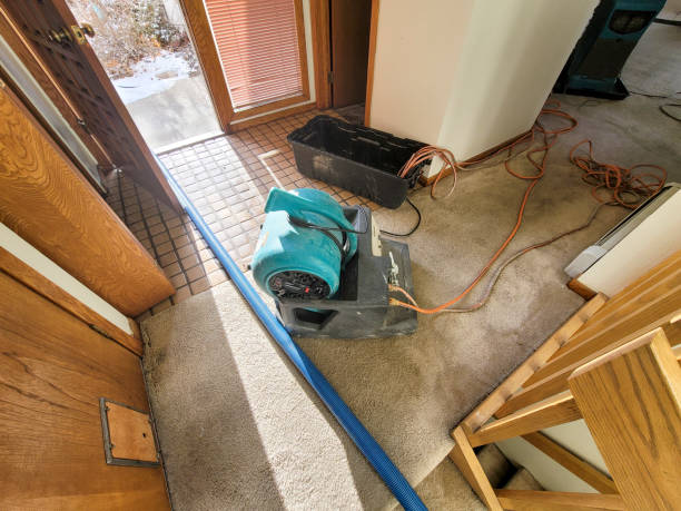 Best Mold removal after water damage  in Mechanicville, NY