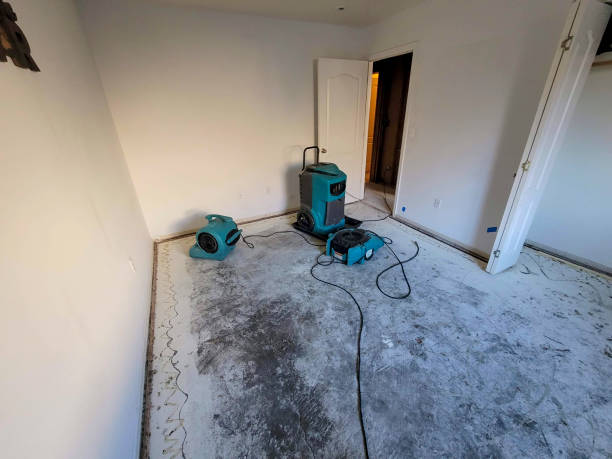 Best Carpet water damage restoration  in Mechanicville, NY