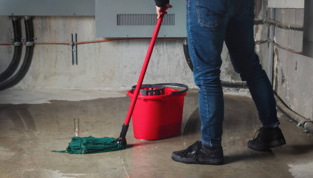 Best Flood restoration services  in Mechanicville, NY