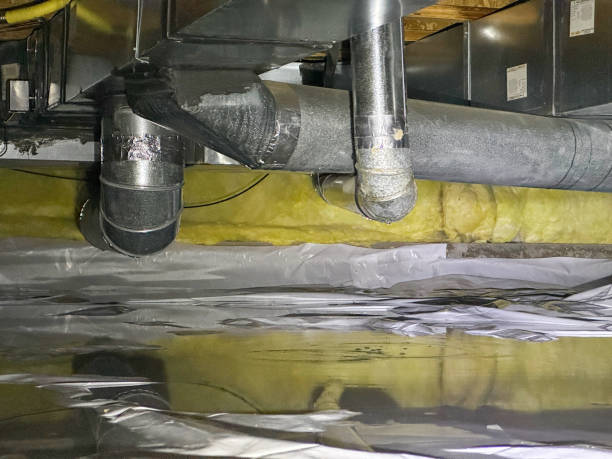 Best Mold removal after water damage  in Mechanicville, NY