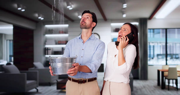Best Flood damage cleanup  in Mechanicville, NY