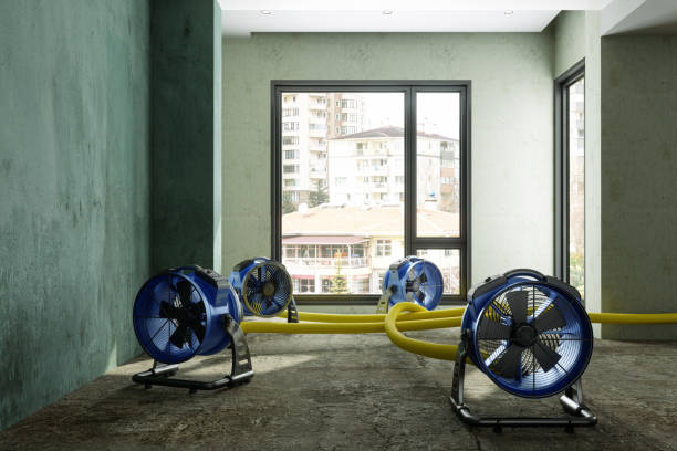 Best Commercial water damage restoration  in Mechanicville, NY